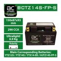 Batteria Litio Lifepo4 Bctz14s-fp-s