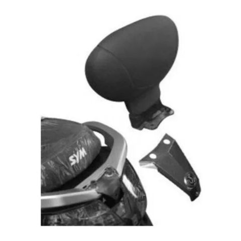 Schienalino Givi Tb231 Sym Citycom 300'08