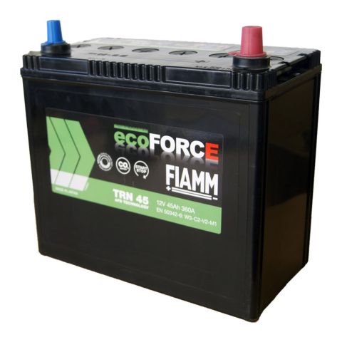 Batteria Fiamm 50 Ah. Ecoforce Afb Trn50