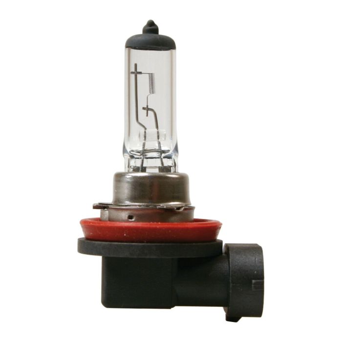 Lampada H11 12v 55w Pgj19-2