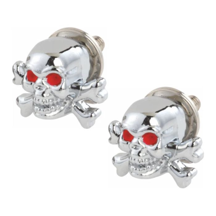 Coppia Viti Targa Amas Teschio / Ossa