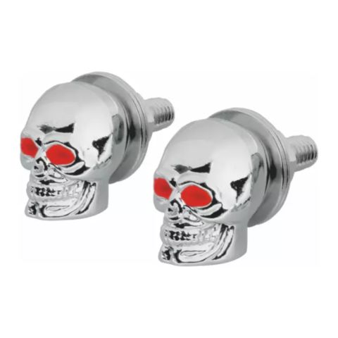 Coppia Viti Targa Amas Teschio