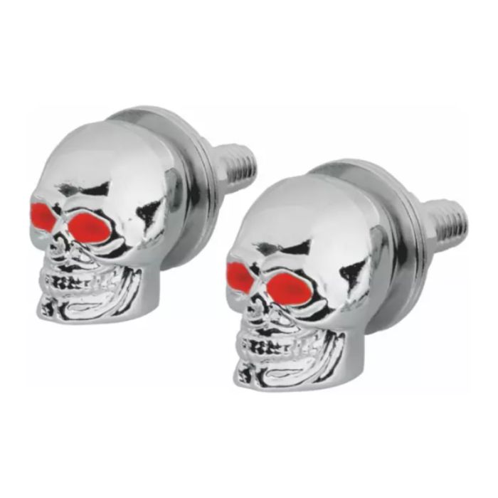 Coppia Viti Targa Amas Teschio