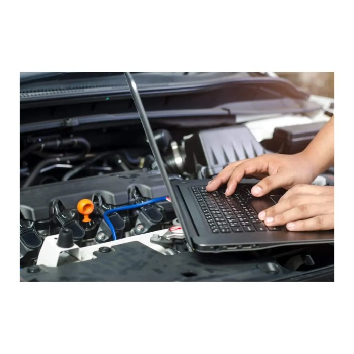 Caricabatteria Professionale X-pro 70 12v/24v