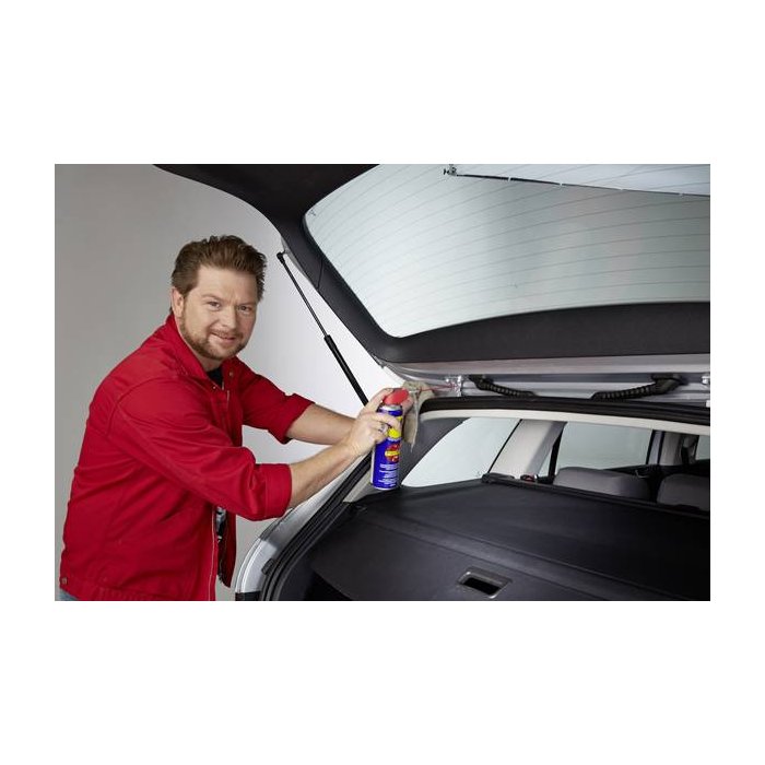 Wd-40 Spray 250ml Doppia Poisizione