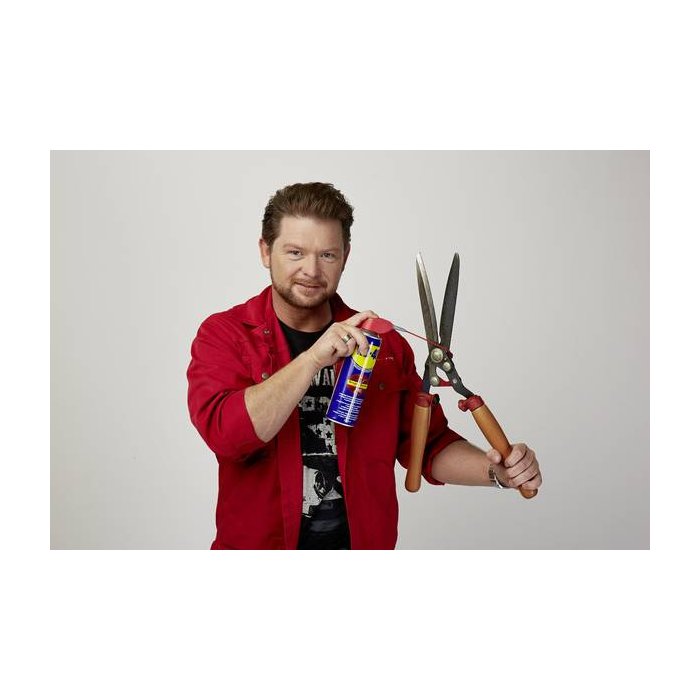 Wd-40 Spray 250ml Doppia Poisizione