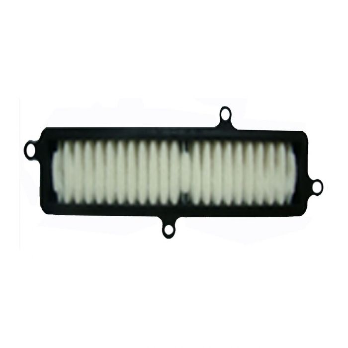 Suzuki Uh Burgman 125/200 07- Filtro Aria E17613