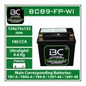 Batteria Litio Lifepo4 Bcb9-wi